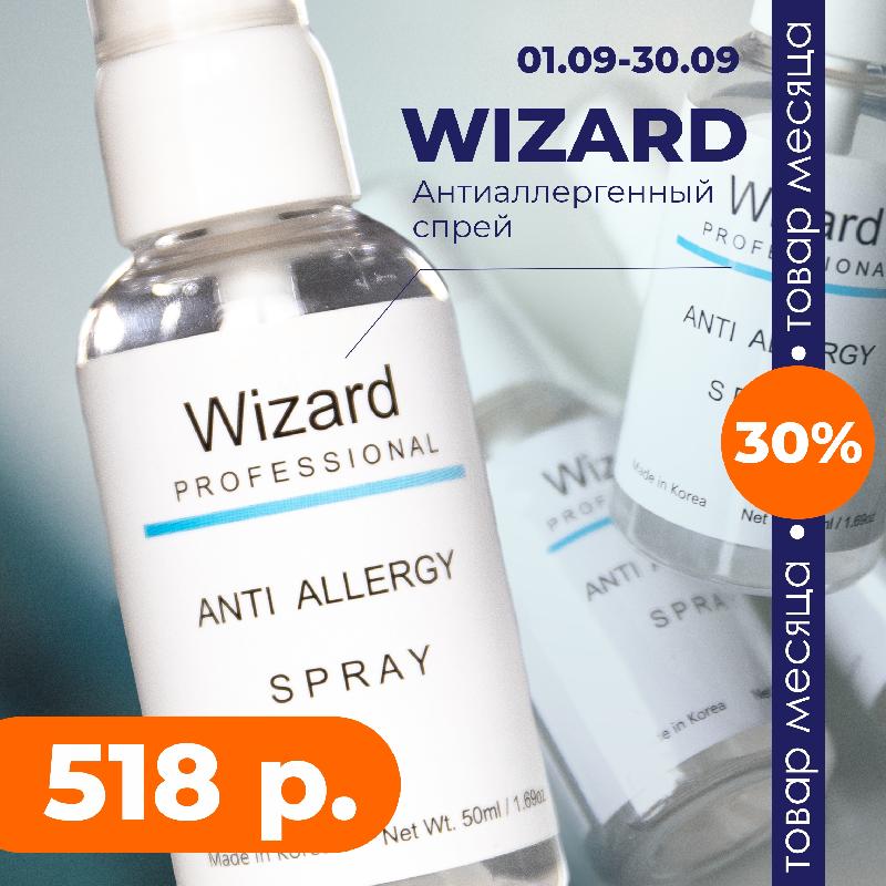 Акция производителя Wizard Акция производителя Wizard