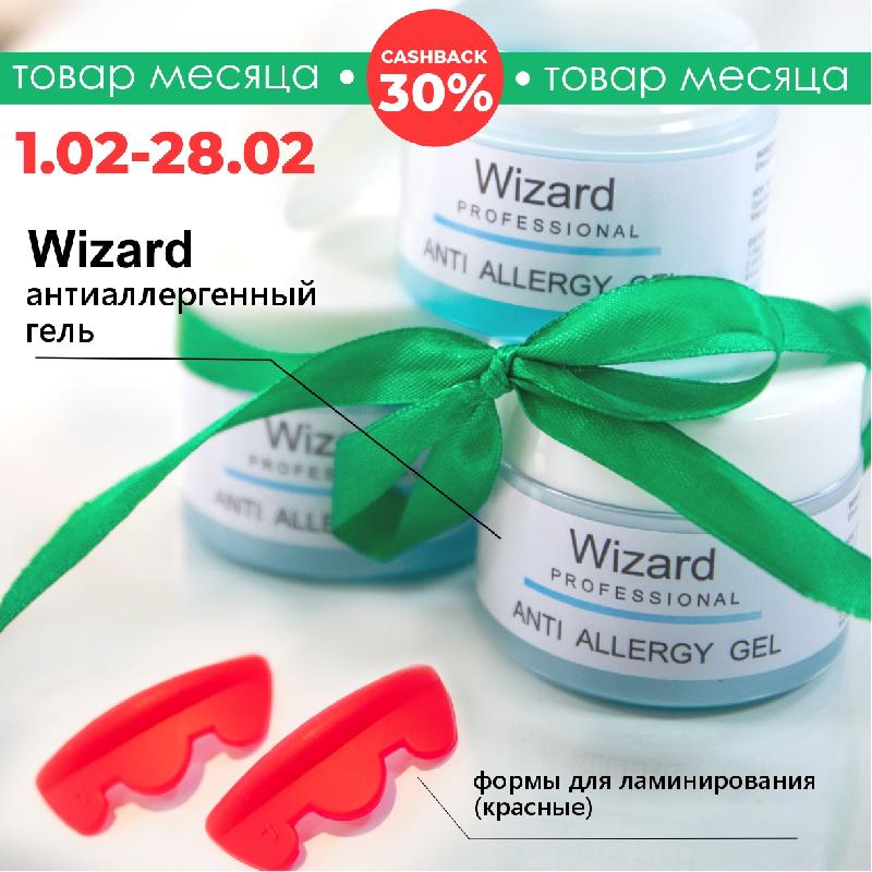 ����� ������������� Wizard